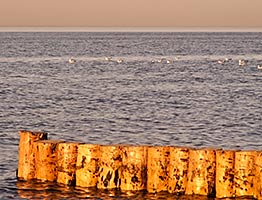 Meer