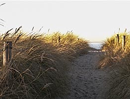 Strand