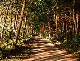 Weg